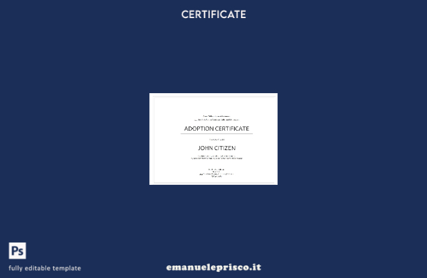modello di certificato di adozione USA in stile verificato